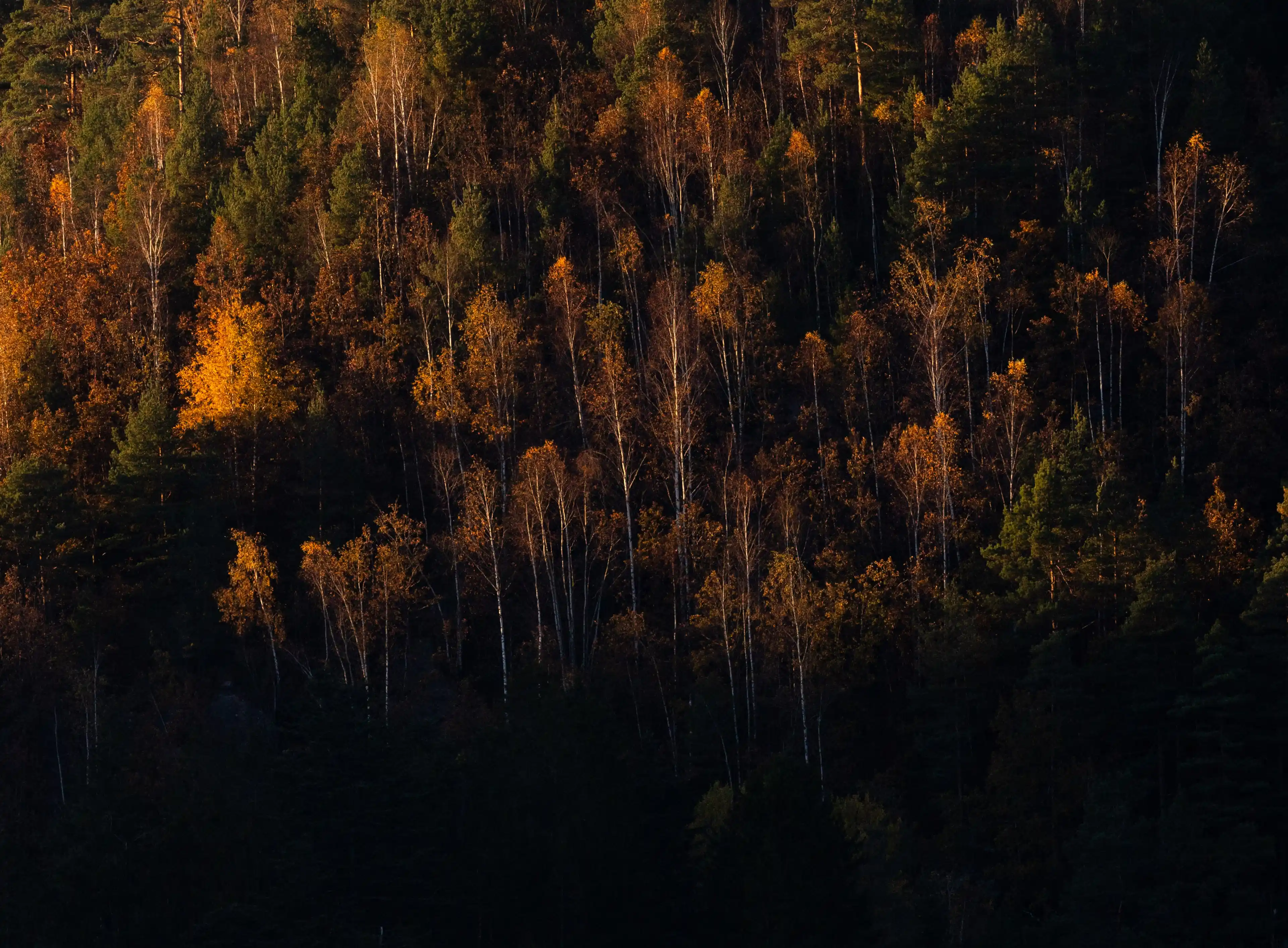 Autumn Norway gallery image 4